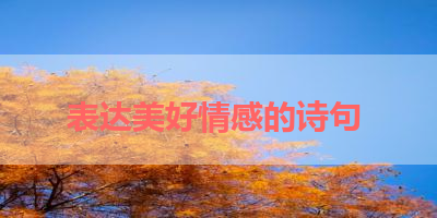 表达美好情感的诗句 