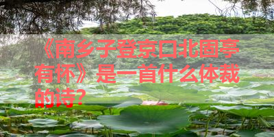 《南乡子登京口北固亭有怀》是一首什么体裁的诗？ 