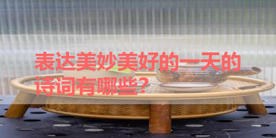表达美妙美好的一天的诗词有哪些？ 