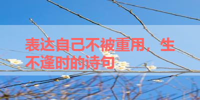 表达自己不被重用，生不逢时的诗句 