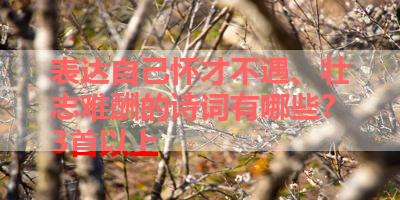 表达自己怀才不遇、壮志难酬的诗词有哪些？3首以上 