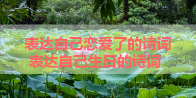 表达自己恋爱了的诗词 表达自己生日的诗词