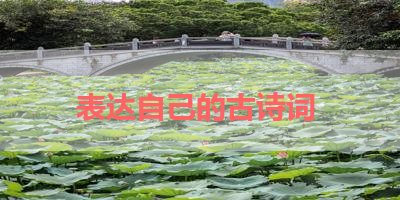表达自己的古诗词 