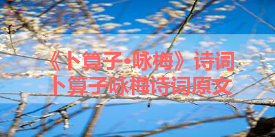 《卜算子·咏梅》诗词 卜算子咏梅诗词原文