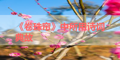 《卷珠帘》中所用诗词典故 