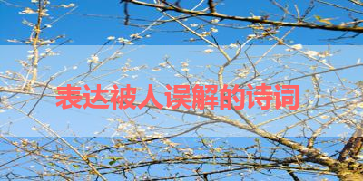 表达被人误解的诗词 