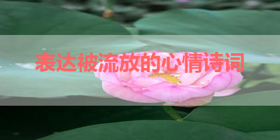 表达被流放的心情诗词 