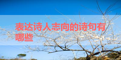 表达诗人志向的诗句有哪些 
