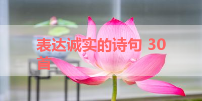 表达诚实的诗句 30首 