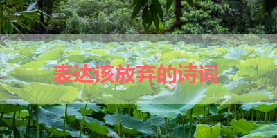 表达该放弃的诗词 