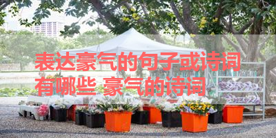 表达豪气的句子或诗词有哪些 豪气的诗词