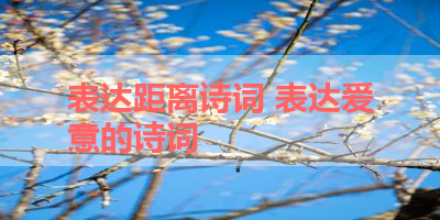 表达距离诗词 表达爱意的诗词