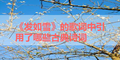 《发如雪》的歌词中引用了哪些古典诗词 