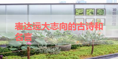 表达远大志向的古诗和名言 
