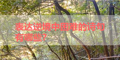 表达逆境中困难的诗句有哪些？ 