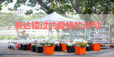 表达错过的爱情的诗句 