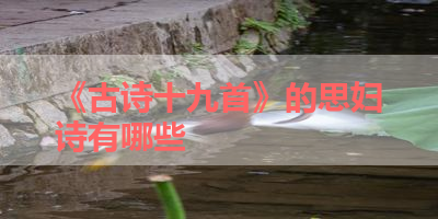 《古诗十九首》的思妇诗有哪些 