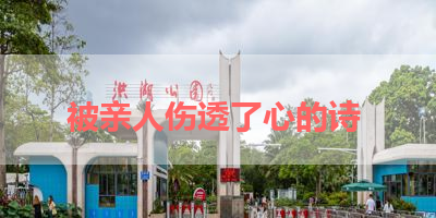 被亲人伤透了心的诗 