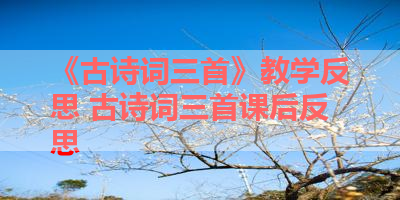 《古诗词三首》教学反思 古诗词三首课后反思