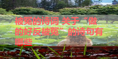 被冤的诗词 关于“做的好反被冤”的诗句有哪些 