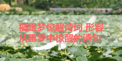 被噩梦惊醒诗词 形容从噩梦中惊醒的诗句 