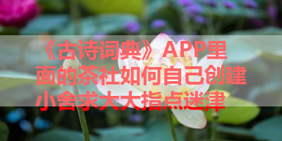 《古诗词典》APP里面的茶社如何自己创建小舍求大大指点迷津 
