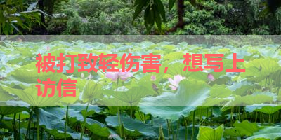 被打致轻伤害，想写上访信 