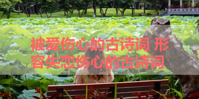 被爱伤心的古诗词 形容失恋伤心的古诗词