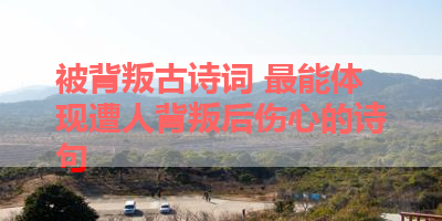 被背叛古诗词 最能体现遭人背叛后伤心的诗句 