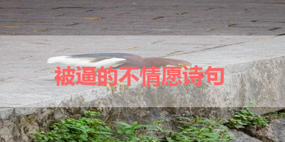 被逼的不情愿诗句 