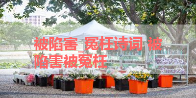 被陷害_冤枉诗词 被陷害被冤枉