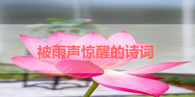 被雨声惊醒的诗词 