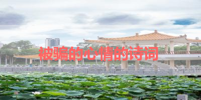 被骗的心情的诗词 