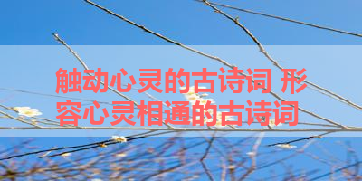 触动心灵的古诗词 形容心灵相通的古诗词