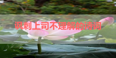 讽刺上司不理解的诗词 