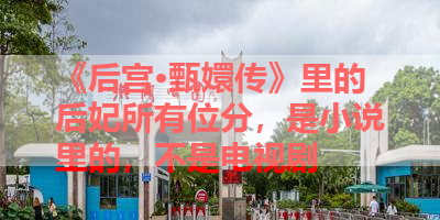 《后宫·甄嬛传》里的后妃所有位分，是小说里的，不是电视剧 