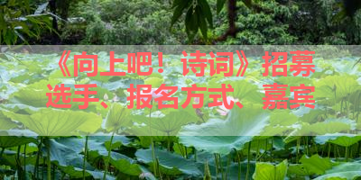 《向上吧！诗词》招募选手、报名方式、嘉宾 