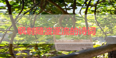 讽刺随波逐流的诗词 