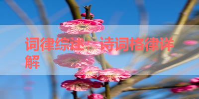 词律综述：诗词格律详解 