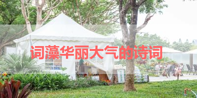 词藻华丽大气的诗词 