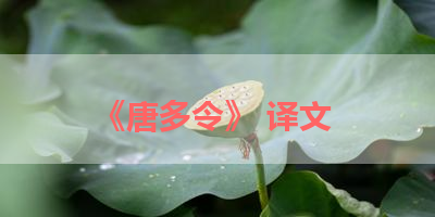 《唐多令》 译文 