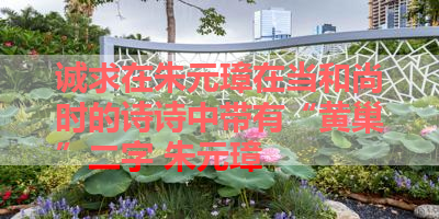 诚求在朱元璋在当和尚时的诗诗中带有“黄巢”二字 朱元璋