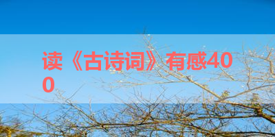 读《古诗词》有感400 