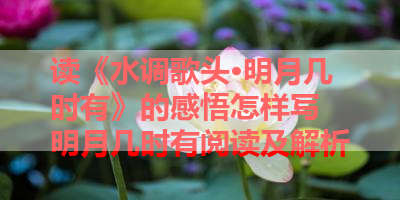 读《水调歌头·明月几时有》的感悟怎样写 明月几时有阅读及解析