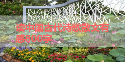 读中国古代诗歌散文有感800字 