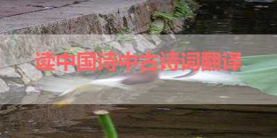 读中国诗中古诗词翻译 
