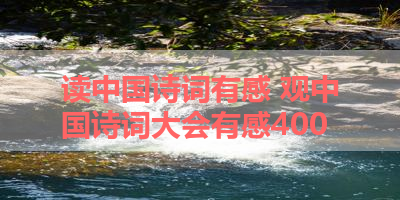 读中国诗词有感 观中国诗词大会有感400