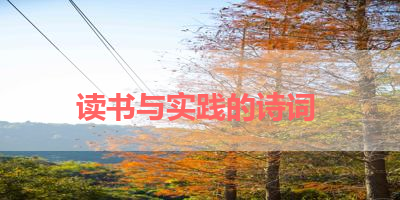 读书与实践的诗词 