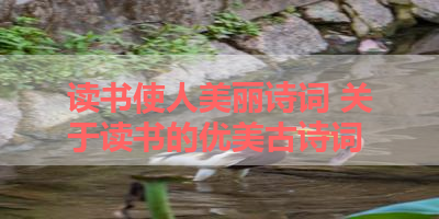 读书使人美丽诗词 关于读书的优美古诗词 
