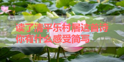 读了清平乐村居这首诗你有什么感受简写 